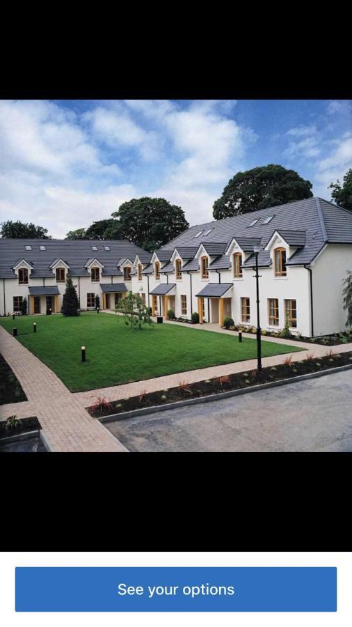 Heyward Mews Holiday Homes Дъблин Екстериор снимка